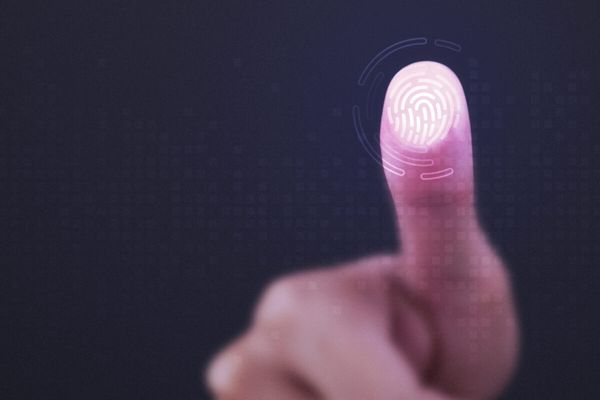 Fingerprint scanner on transparent screen