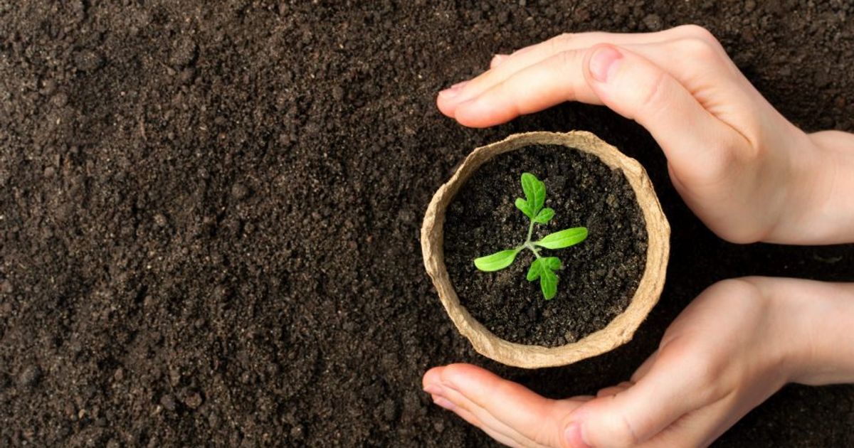 shutterstock_1712129335-scaled-e1618330191615