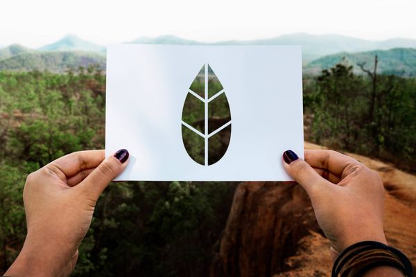 save-world-ecology-environmental-conservation-perforated-paper-leaf (1)